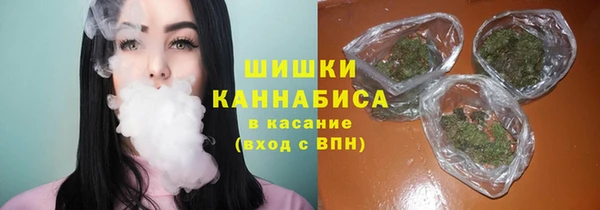бутират Белокуриха