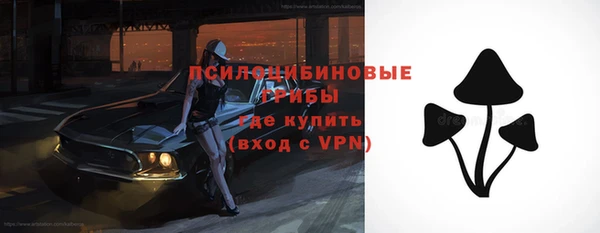 бутират Белокуриха
