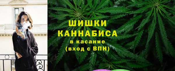 бутират Белокуриха
